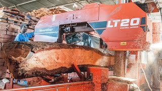 LT20 Sawmilling Rosewood in Africa  WoodMizer Africa [upl. by Chandos]