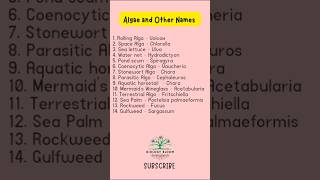 Algae and Other Names  Biology Bloom  Phycology [upl. by Santiago100]