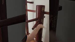 Wing Chun IP Strike Ability wingchun kungfu martialarts training exercise shorts diy [upl. by Hacceber]