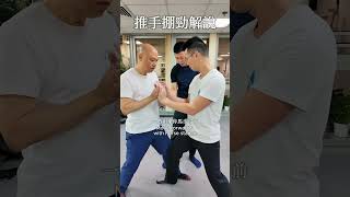 推手掤勁解說  太極八法 taichi martialarts qigong 太極 kungfu [upl. by Jovia]