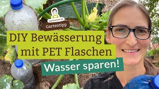 DIY Tropfbewässerung mit PET Flaschen  Ollas selber basteln und Wasser sparen beim Gießen [upl. by Elsworth]