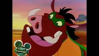 Timon and Pumbaa Episode 7  The Pain in Spain [upl. by Enytsuj]