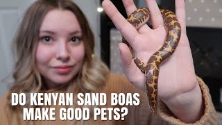 Do Kenyan Sand Boas Make Good Pet [upl. by Manny]