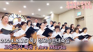 2024815목 성모승천대축일 특송  아베마리아 Ave Maria [upl. by Hamann]