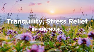 Tranquil Piano and Violin  relaxing sleep music meditation fall asleep stress relief [upl. by Bael]