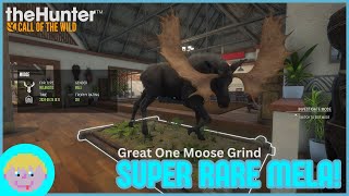 SUPER RARE Mela Moose in 3944 kills 600 hrs later [upl. by Allin]