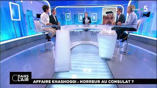 Affaire Khashoggi  horreur au consulat  cdanslair 19102018 [upl. by Lorrin707]