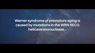 Werner Syndrome RECQ Helicase and Heterochromatin Maintenance in Human Cells  AgingUS [upl. by Gneh]