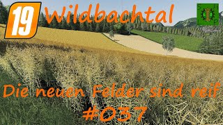 LS19  Wildbachtal  037 Die neuen Felder sind reif HD [upl. by Heymann]