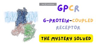 الكشف عن ميكانيكية عمل مستقبلات جي بروتين Revealing the activation mechanism of GPCRs [upl. by Ibrik51]