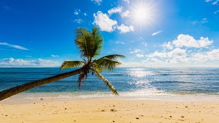 Tropical Beach Bossa Nova Music 2024 [upl. by Leifeste]