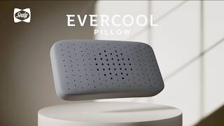 Sealy Evercool Pillow [upl. by Gnus]