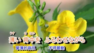 01031 花も嵐も 山本譲二 音圓 950111 金嗓 60154（台語  疼你若生命 [upl. by Lenehc528]