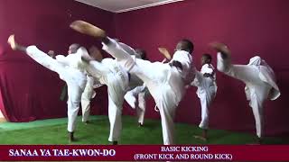 SANAA YA TAEKWONDO BASIC KICKING FRONT KICK AND ROUND KICK [upl. by Fesuoy]