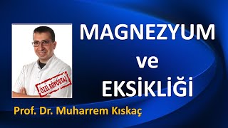 MAGNEZYUM VE MAGNEZYUM EKSÄ°KLÄ°ÄžÄ°  PROF DR MUHARREM KISKAÃ‡ [upl. by Orelle539]