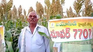 Bioseed Hybrid Jowar Super 7707  Guntur [upl. by Malinowski412]