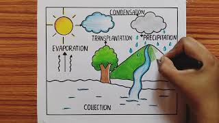 How to Draw Water Cycle Drawing For School Project  Water Cycle Drawing  Water Cycle Project [upl. by Solley359]