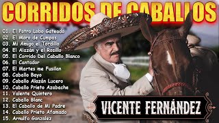 🔥 MIX VICENTE FERNANDEZ 🔥 CORRIDOS DE CABALLOS 🏇 🐎 🐴 30 EXITOS MEJORES CANCIONES MIX 🔥 [upl. by Enilamme]