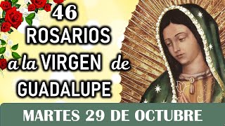 46 Rosarios a la Santísima Virgen de Guadalupe Martes 29 de Octubre Dia 2 🥀 Misterios Dolorosos 🥀 [upl. by Anivlac132]