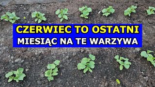 Czerwiec  Ostateczny Miesiąc na Siewy tych Warzyw Co siać i sadzić w Czerwcu  Kalendarz Ogrodnika [upl. by Naz]