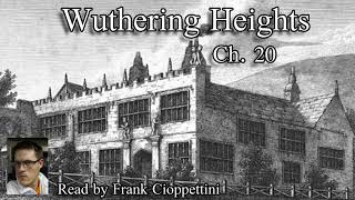 Wuthering Heights  Chapter 20 by Emily Brontë 1847 Audiobook [upl. by Cirilla221]