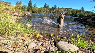 Cowlitz River Bank Fishing [upl. by Oicirtap]