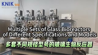 Multiple Sets of Glass Bioreactors of Different Specifications and Models fermenter bioreactor [upl. by Asilrac322]