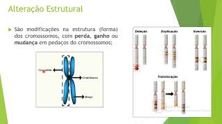 AULAAlterações cromossômicas [upl. by Hitchcock]