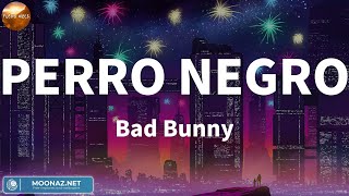 Bad Bunny  PERRO NEGRO  Letras [upl. by Eleik]