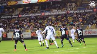 El Dorados vs Tampico desde cancha [upl. by Shaughn976]