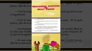 Top Citations du PETIT PRINCE Cest le temps que tu as perdu pour ta rose lepetitprince shorts [upl. by Adhern]