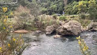 Karangahake Gorge Historic Rich Gold Mining site New Zealand 🇳🇿 [upl. by Honeyman64]