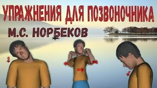 УПРАЖНЕНИЯ ДЛЯ ПОЗВОНОЧНИКА по Норбекову [upl. by Jaquelyn]