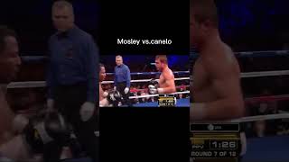 Mosley vs canelo fight boxing fights action shorts [upl. by Kries580]