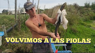 Pescando anguilas con aparejos en Pesca en agua dulce [upl. by Juetta]