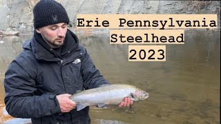 WHOS IS BIGGER  Steelhead Doubleups in ERIE PA 2023 [upl. by Ealasaid]