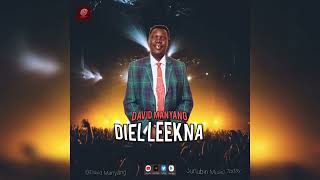 David Manyang Kelual Diel leekna Official Audio [upl. by Llezom771]