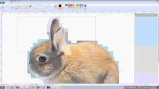 ペイントで輪郭に沿って画像を切り抜き（Windows 7・8編） [upl. by Elfrida]