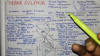 Hepar sulphur drug picture  Homeopathic medicine easy explanation [upl. by Schaaff782]