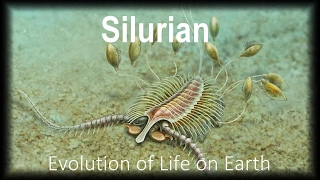 The Evolution of Life part 4  Silurian [upl. by Dhu]