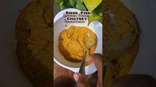 Sidol Chutney ❤️ ytshorts minivlog food foodie cooking foodreview [upl. by Bernadette]