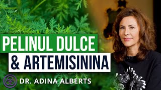 Dr ADINA ALBERTS Pelinul dulce și Artemisinina stimulează sistemul imunitar [upl. by Hannahsohs]