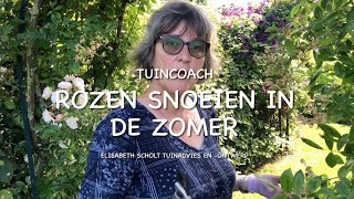 TUINCOACH ROZEN SNOEIEN IN DE ZOMER [upl. by Droffig]