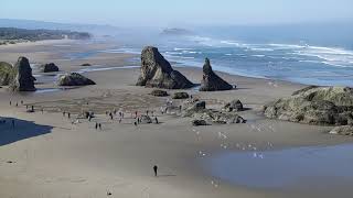 quotCircles in the Sandquot Time Lapse June 27 2021  Bandon Oregon [upl. by Elleinet]