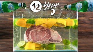 I aged steaks in LIME WATER for 12 yr and this happened [upl. by Olympia]