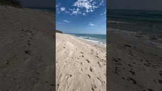 Bribie Island 🏝️ beach [upl. by Aileon]