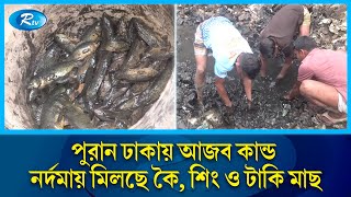 পুরান ঢাকায় নর্দমা থেকে দেশি মাছ শিকার করছে শ্রমজীবী মানুষ  Old Dhaka  Fish  Rtv News [upl. by Adnala]