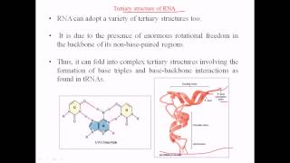 RNA structure  tertiary structure [upl. by Karab]