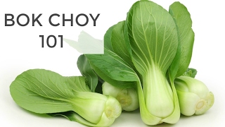 Bok Choy 101  Everything You Need to Know [upl. by Lizzie]