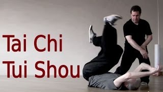 Tai Chi Tui Shou Training 太极推手教学 [upl. by Rochell]